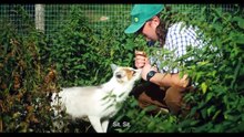 Pet Farm