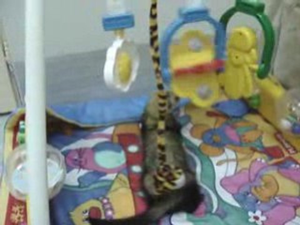 virgule petage de plomg