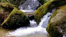 Détox Mentale _ Bain Sonore Naturel Eau Vive & Forêt Vivante🌿 💧 ✨