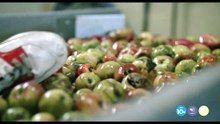 Bad Apples (Trailer Ufficiale HD)