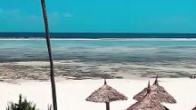 Wakacyjne hity: Tanzania — 08.09.2026 | Lastradar