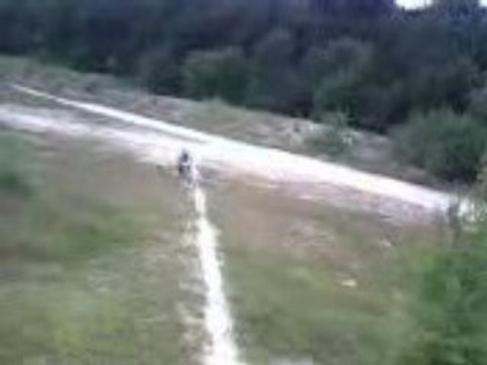beta rr