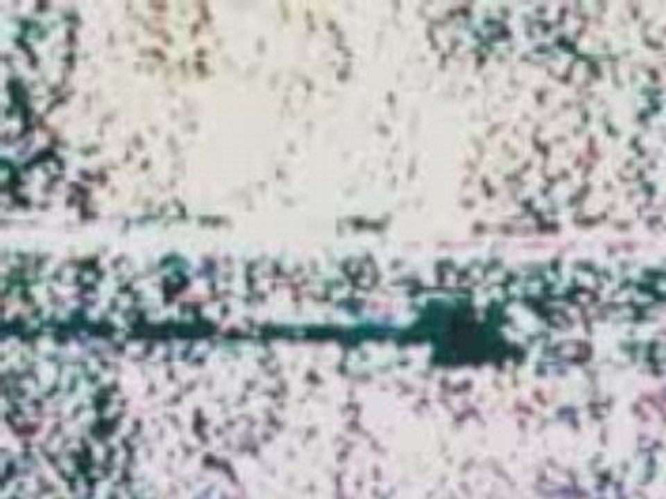 Terminator Renaissance