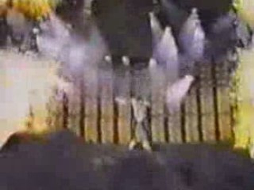 Michael Jackson - Jam (Hambourg 1992)