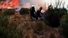 Monte Quénia, África, incêndio
