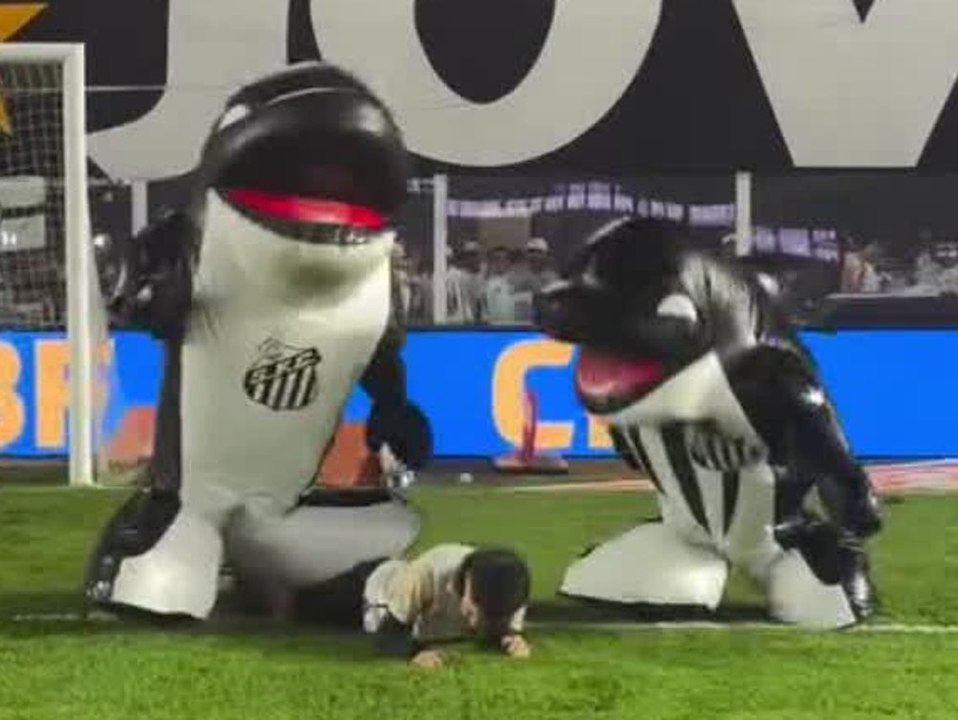 Orcas fallen über fußballfan her