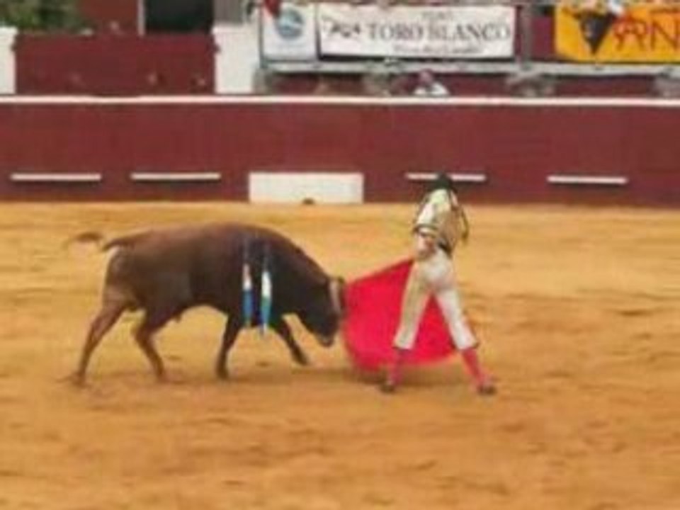 Novillada - Mont-de-Marsan - CRISTIAN ESCRIBANO