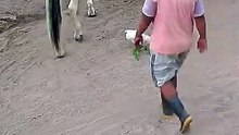 Enjoy the best funny internet videos packed into one viral compilation 🤣 [720]