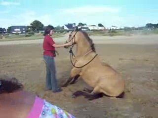 Odyssée couchée et assise à la plage