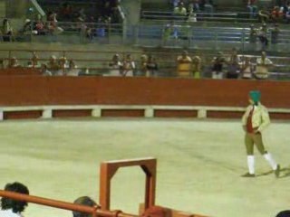 Corrida portugaise beaucaire 2008