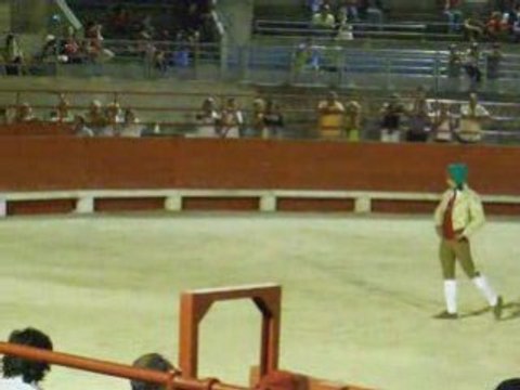 Corrida portugaise beaucaire 2008