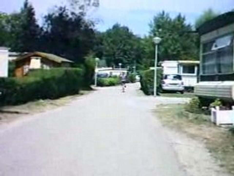 V1