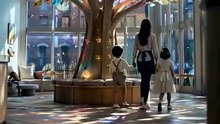 The Little Genius Twins of a Billionaire