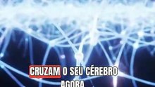 Os 3 Arquitetos Químicos Que Controlam a Sua Mente 🧠
