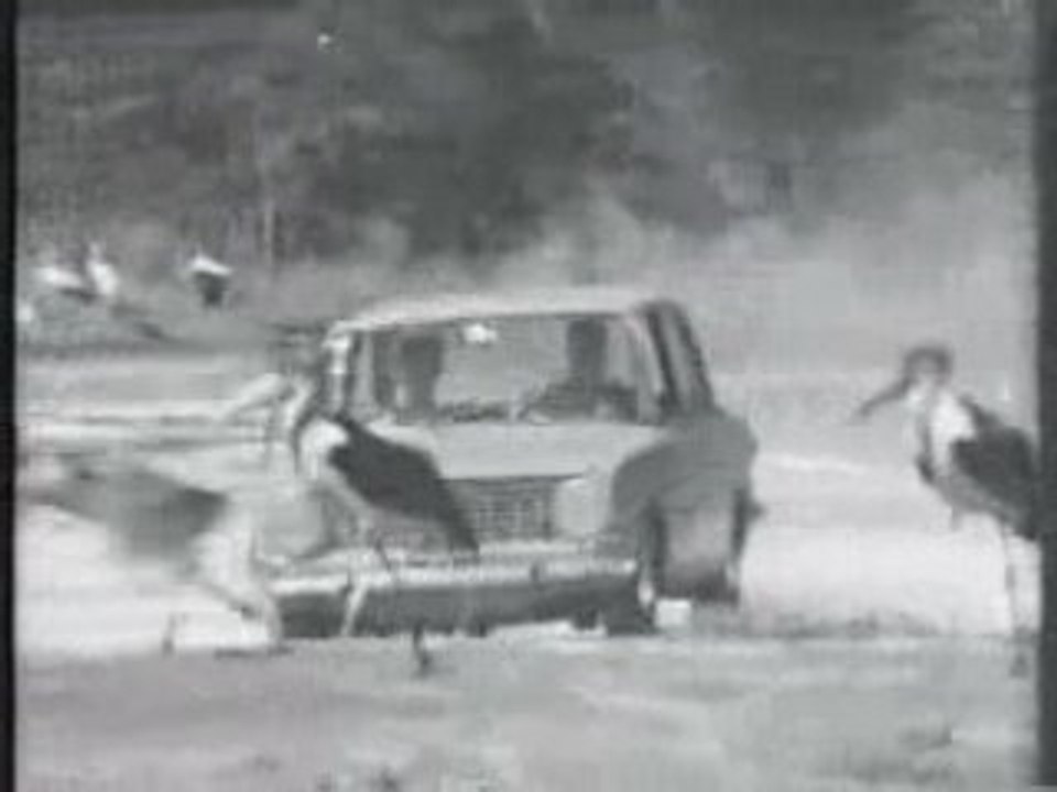 Fiat 124 Commercial 1970