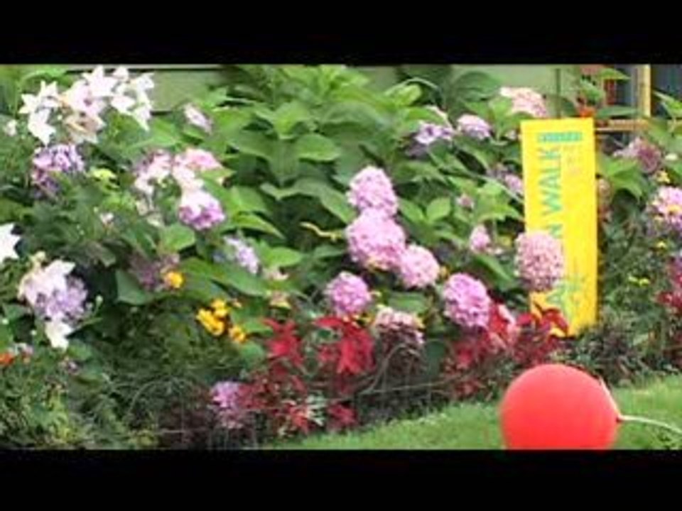 Buffalo Garden Walk
