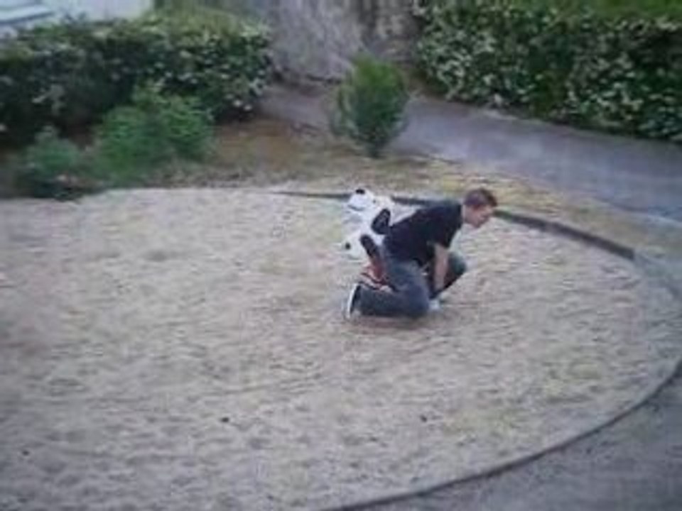 Mon Staninou et son Dalmatien