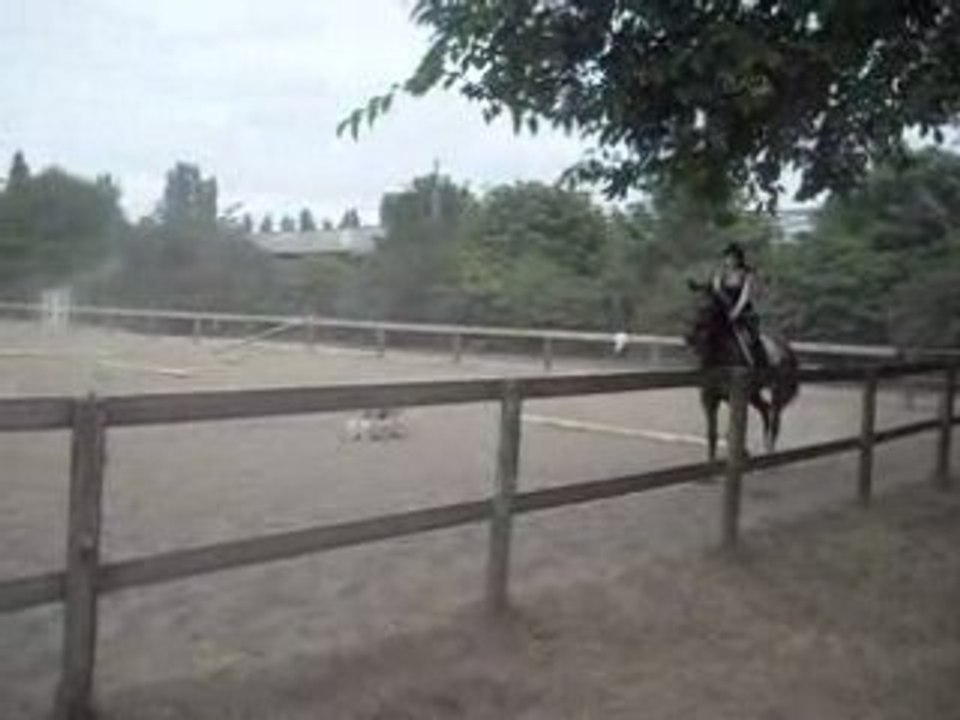 Orus trot 1
