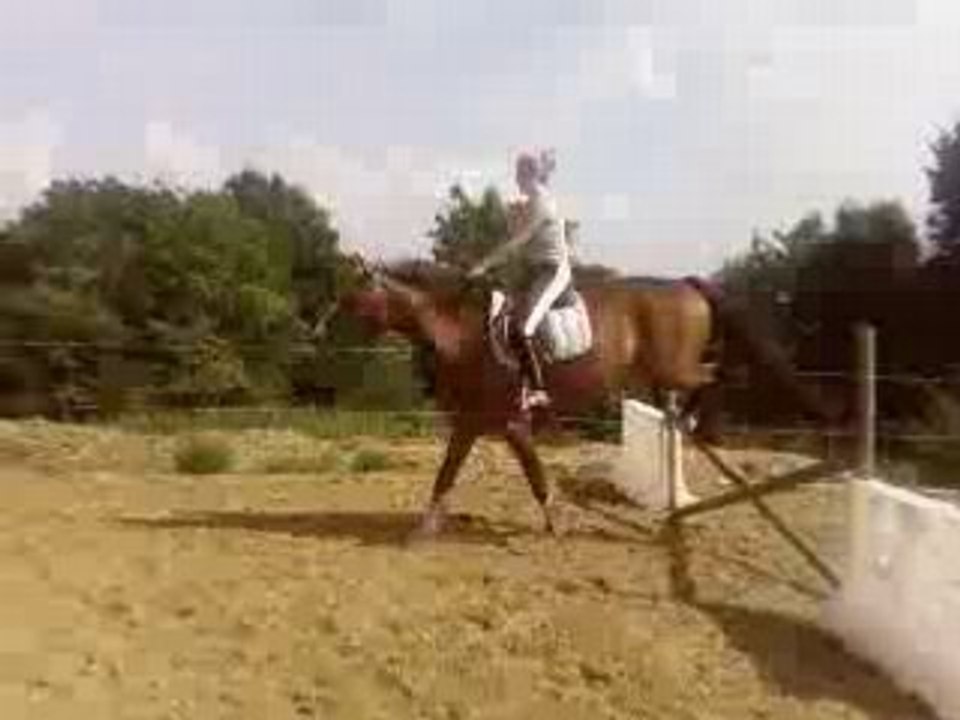 Maestro et Fanny