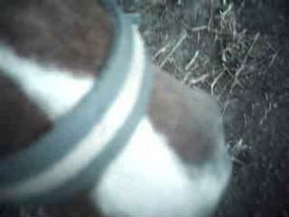 ma vava qui vx mangé