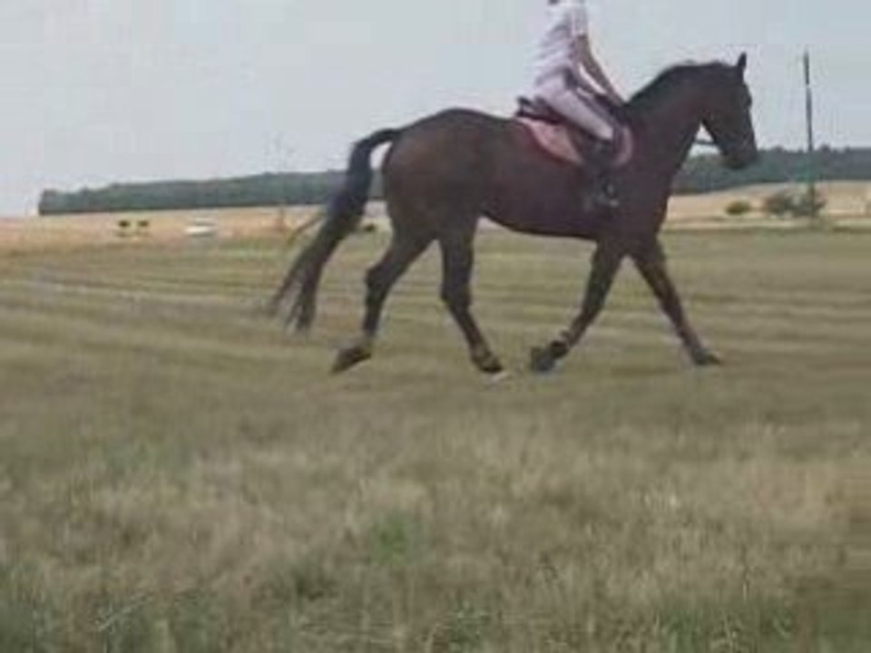 Séance du 27 07 08