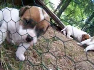 Bébé tyron et cana 008