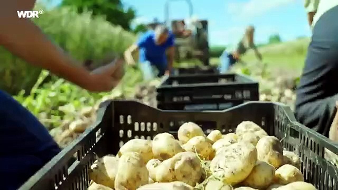 Lecker an bord_ friesland, wir sind zurück! (2026)