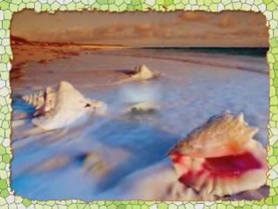 Oulahlou-vive ma liberté