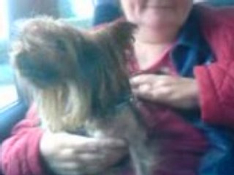 mon chien qui aboie