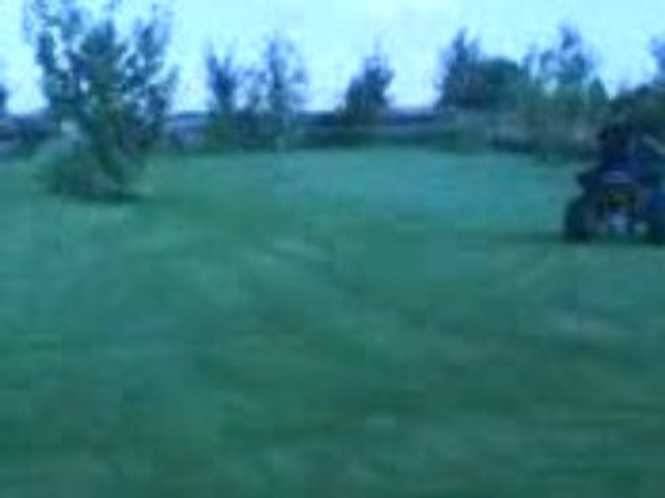 MOV00201
