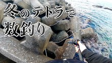 冬のテトラ穴釣りでカサゴ連発　仕掛けを落とすとすぐ反応