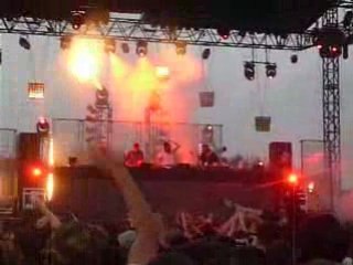 Birdy nam nam voix du gaou 2008 (2)