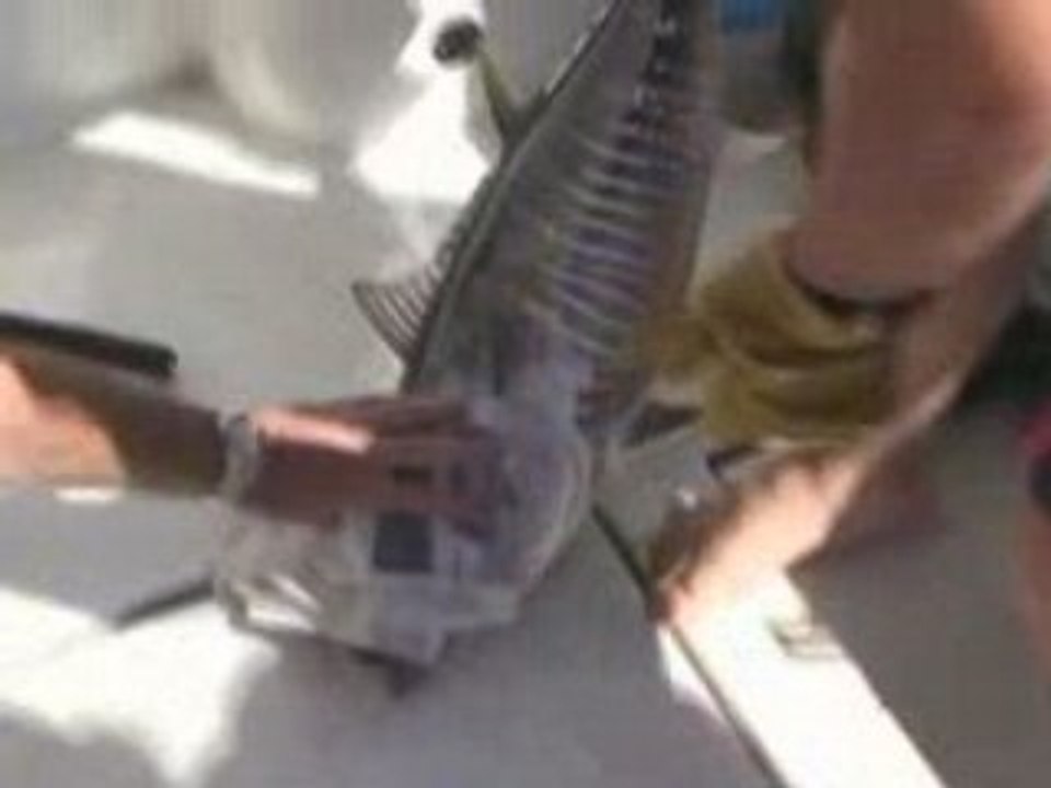 20080727151434