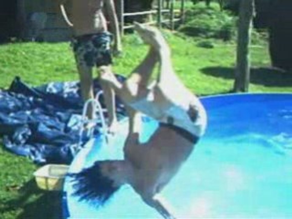 Picine freestyle