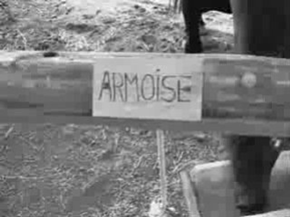 Armoise X3