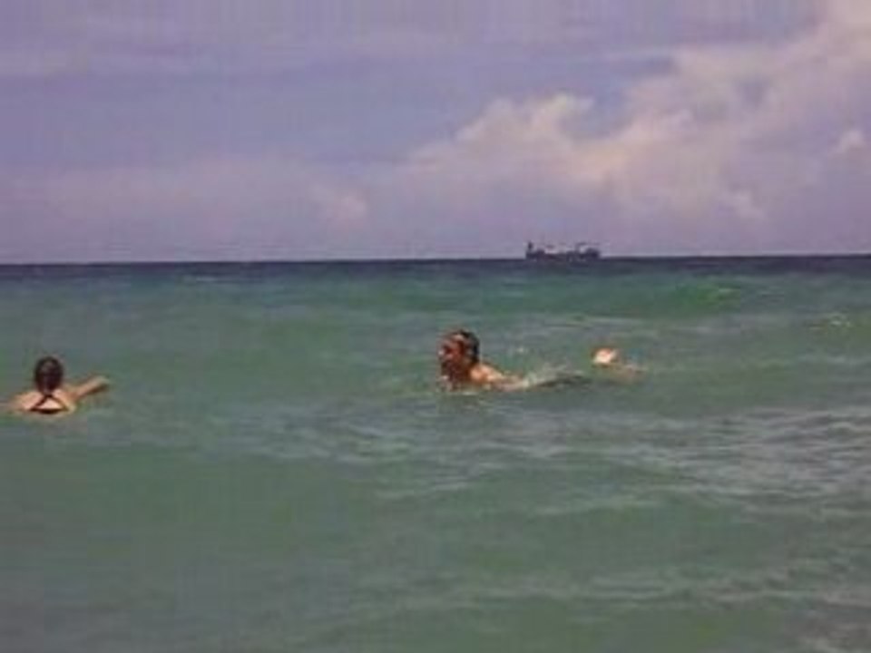 baignade_fort_landerdale