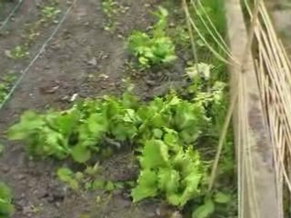 Allotment revisited with music (better Quality)
