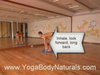 Yoga Postures Free Video: Sun Salute A