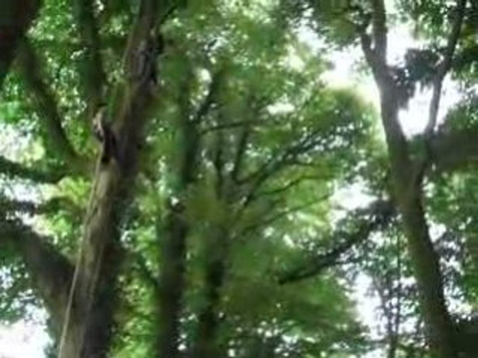 Roland au saut pendulaire