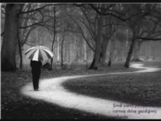 Altan civelek giderim