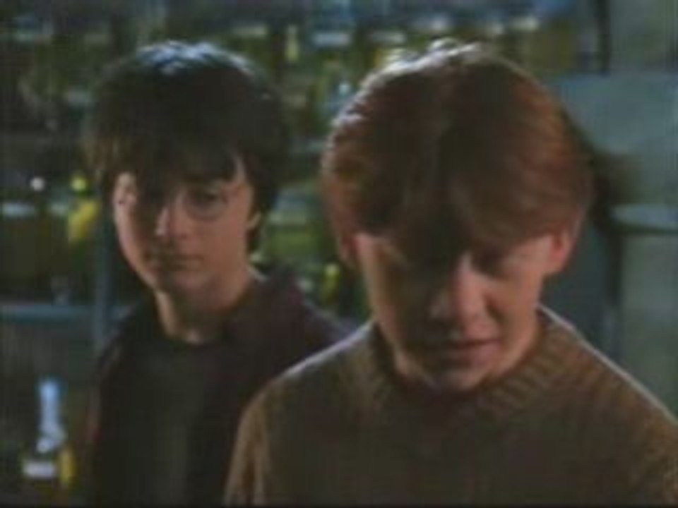 Hermione & Ron - de la haine à l'amour