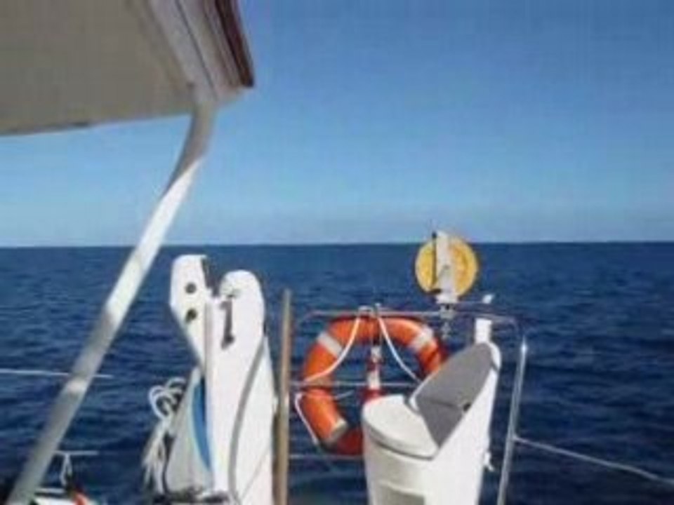 son des baleines à bosses