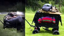 GlampHaul: The Ultimate Camping Cart for Easier Outdoor Adventures