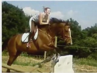 Ecuries Ibériques de Valhermeil