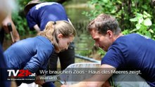Wir brauchen Zoos – Haus des Meeres zeigt, warum