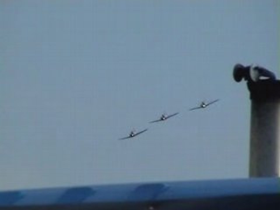 Patrouille acrobatique "CARTOUCHE DORE"