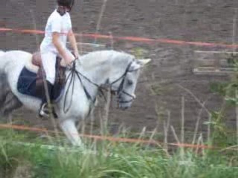 EQUITATION