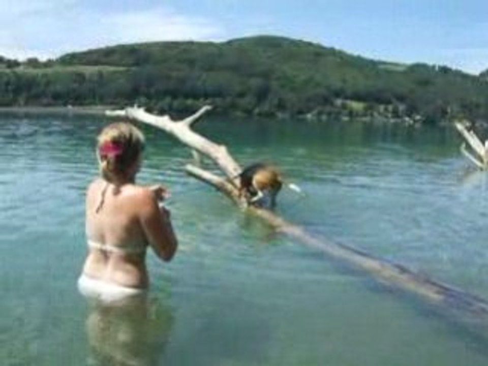 carah dans l'eau