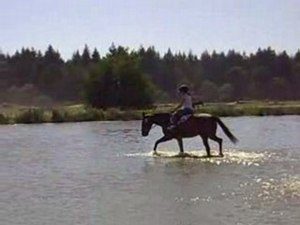 marie et pomme dans la mare a Lamotte