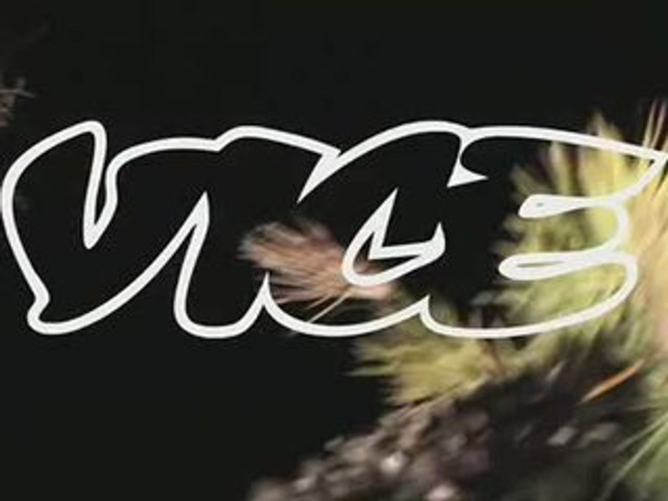 VICE Magazine & Modular: Party in Montreux